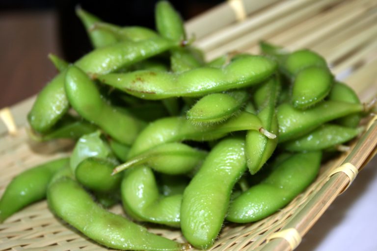Edamame (枝豆) – Fèves de soja bouillies