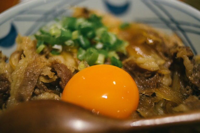 Recette maison de gyudon, bol de riz au bœuf et oignons