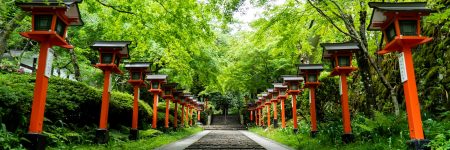 Ballade nature à Kurama