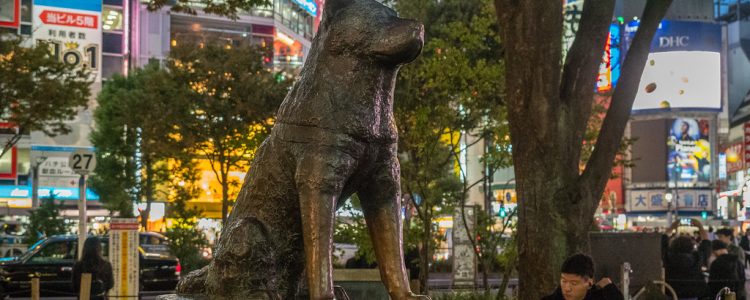 hachiko statue