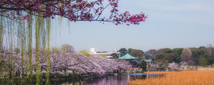 Parc d’Ueno