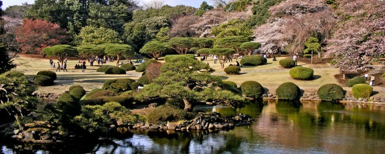 Shinjuku Gyoen