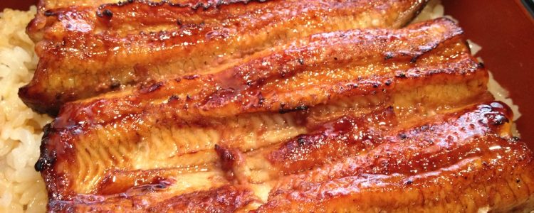 Unagi Anguille grillée laquée à la sauce soja sucrée, servie sur du riz.